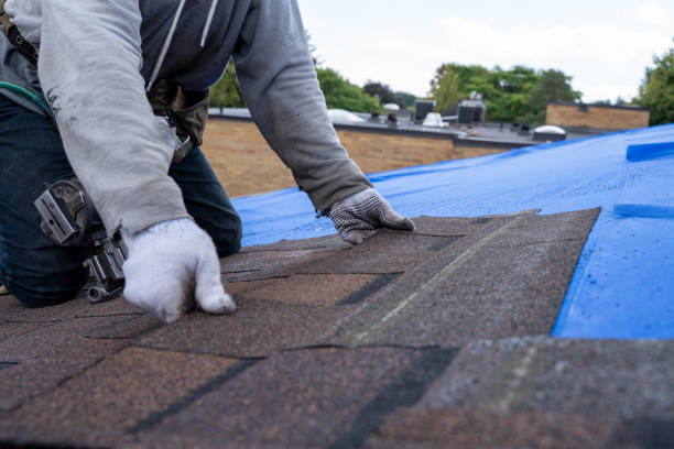 Best Roof Restoration Services  in Ellisville, MO